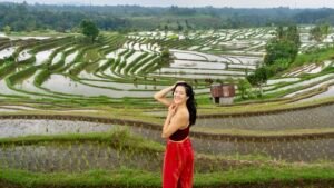 108077918-1734557942399-Bali_rice_fields_1.jpg