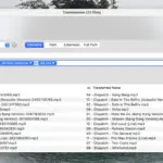 You should use Transnomino to rename and reorganize your Mac files