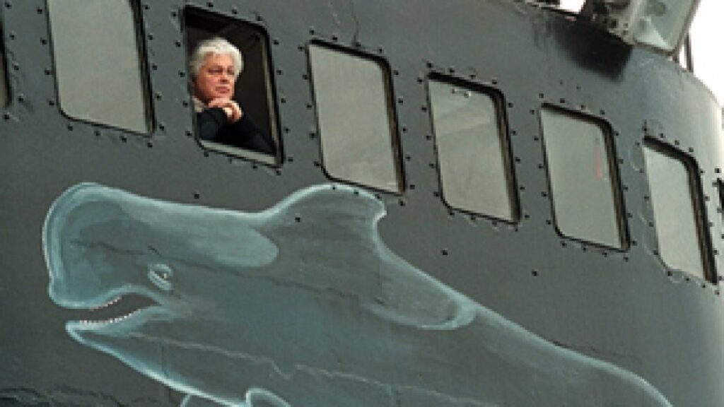 Anti-whaling activist Paul Watson released as Denmark refuses extradition | Environmental News