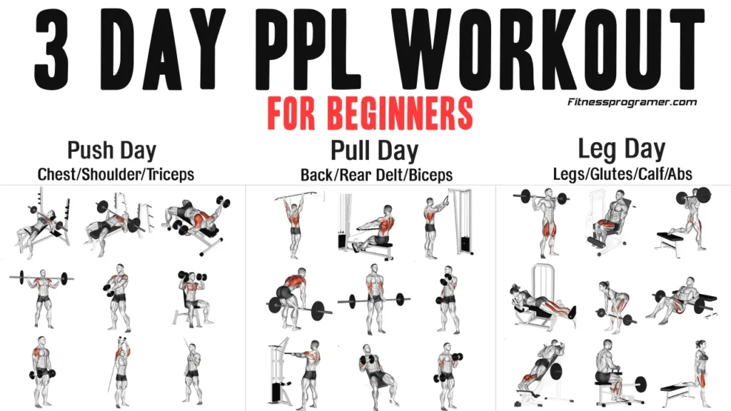 3 day PPL training program for beginners