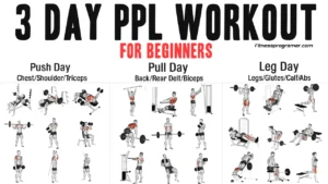 3-Day-PPL-Workout-Routine.webp.webp