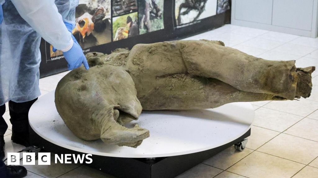 Scientists unveil the carcass of a 50,000-year-old baby mammoth