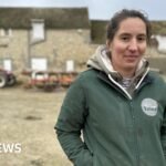 The mega trade deal that has French farmers in turmoil