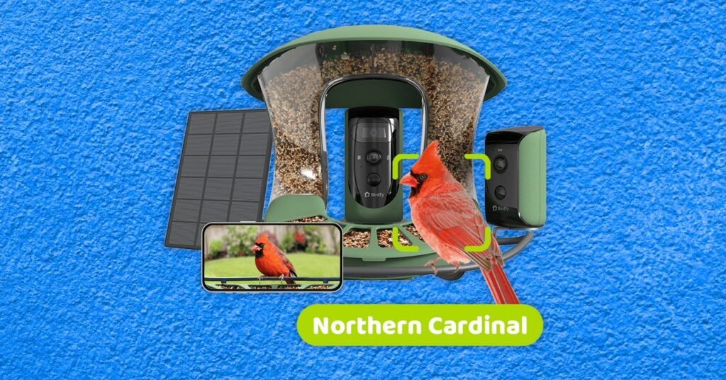 Best Birdhouses with Cameras, Tested and Reviewed (2024)