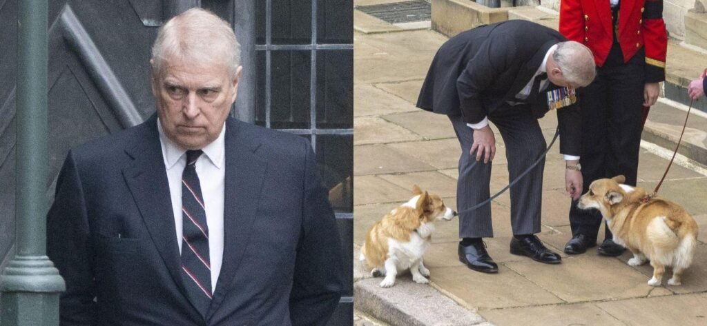 Why Prince Andrew reportedly refused to walk the late Queen’s corgis