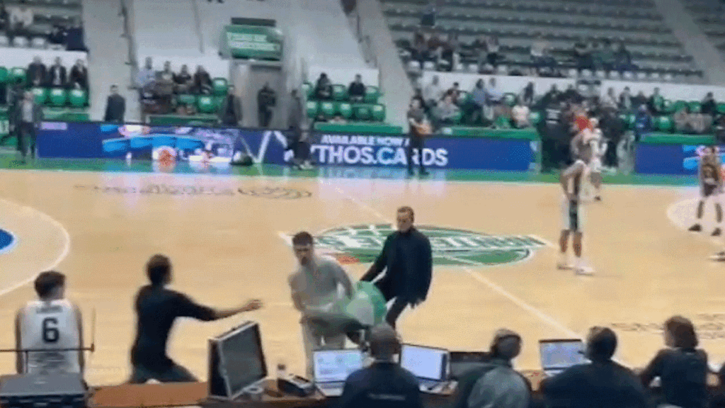 Pro-Palestinian activists storm the basketball court during the game between Israel and France