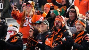 bengals-2.jpg