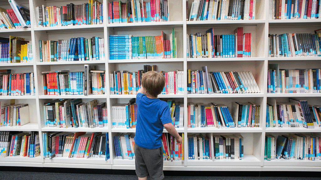 Judge blocks provisions of Arkansas law that allow criminal charges against librarians