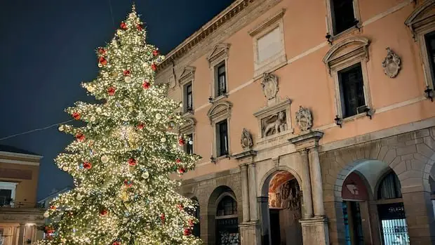 christmas-tree-in-padua-italy.jpg