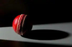 Live Cricket Betting: A Beginner’s Guide to Placing Real-Time Bets Online