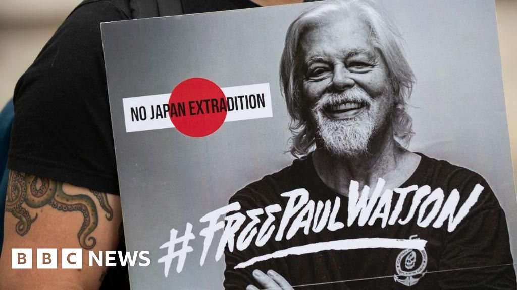 Anti-whaling activist Paul Watson was released after five months in Greenland