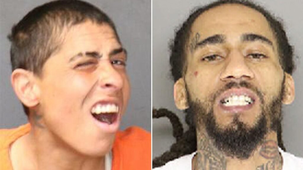 Mugshots of the Week: March 8-14 December 2024