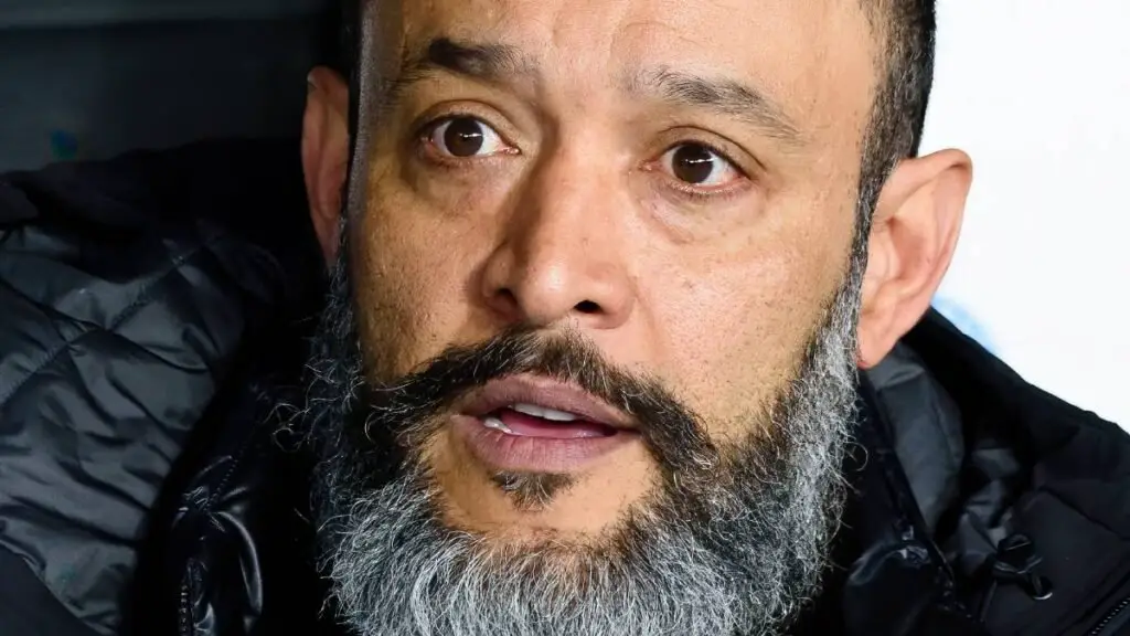 High flyers need to be “very careful” when it comes to injuries, Santo says