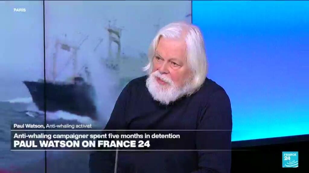 “The most powerful weapon in the world is a camera,” says anti-whaling activist Paul Watson