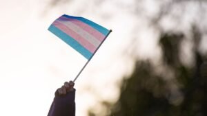 transgender-flag.jpg