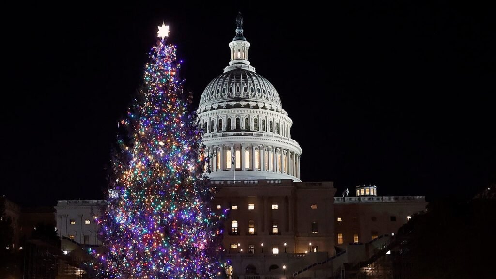 Digging around the Congressional Christmas tree: Lawmakers pass bill to prevent government shutdown