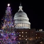 Digging around the Congressional Christmas tree: Lawmakers pass bill to prevent government shutdown