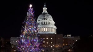 u.s.-capitol-christmas-tree-lit-for-holiday-season.jpg