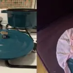 This Tiktok upholstery cleaning hack actually works