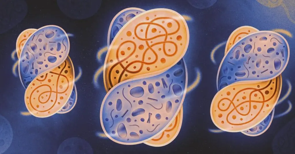 Scientists create the conditions that triggered a complex life