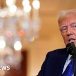 Trump says we will send some migrants to Guantanamo Bay
