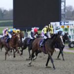 skysports-lingfield-racing_6764599.jpg