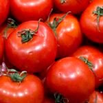 tomates24_5.jpg