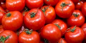 tomates24_5.jpg