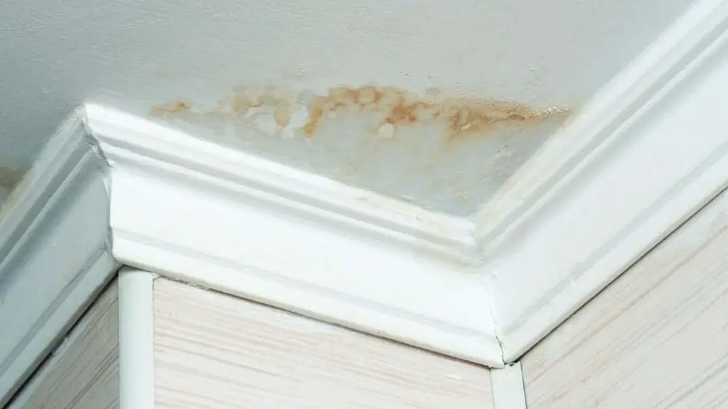 How I removed stubborn water stains from my wall