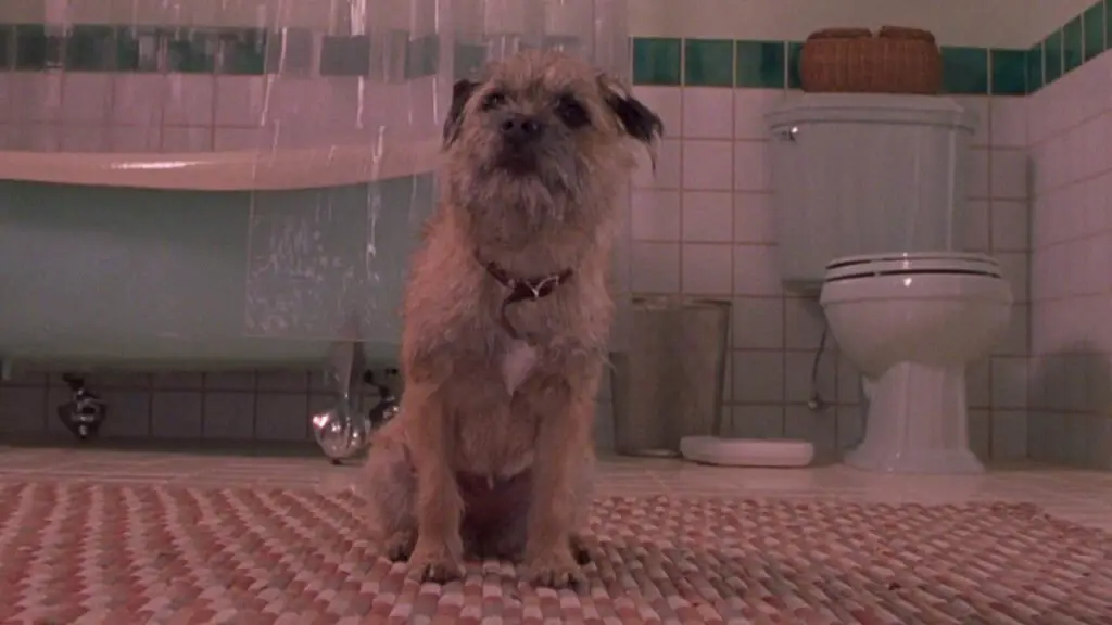 Iconal 90s Raunchy R-rated comedy on Hulu keeps up thanks to the brilliant letter
