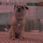 Iconal 90s Raunchy R-rated comedy on Hulu keeps up thanks to the brilliant letter