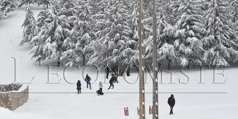 Snowfall, heavy rain and gusts of wind in several provinces of the kingdom