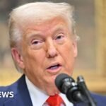 Trump announces the monthly suspension of Mexiczöllen