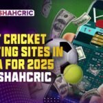 Best Cricket -Wett -sites in India for 2025 | Badshahcric