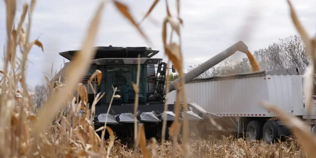 Trump asks farmers and consumers to deal with me while they are on unpredictable tariff that are met on their wallets
