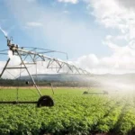 IWF approved $ 496 million for Morocco