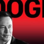 These are Elon Musk’s top lieutenants – including the Doge