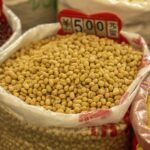 Beijing’s tariffs on US farm imports appear when Trump’s trade war endangers the fighting economy of China
