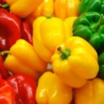 Morocco’s pepper exports to the EU rises by 65.6%, since Spain’s decline of 26.4% Morocco pepper exports increased by 65.6% if the Spain’s decline by 26.4%