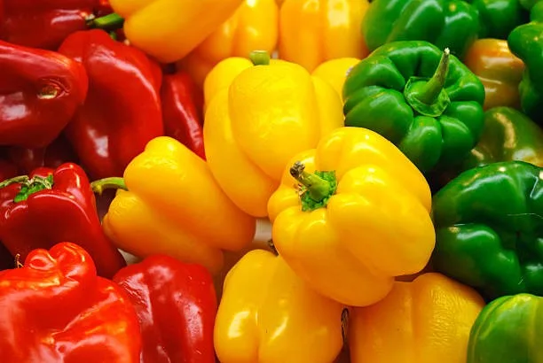 Morocco’s pepper exports to the EU rises by 65.6%, since Spain’s decline of 26.4% Morocco pepper exports increased by 65.6% if the Spain’s decline by 26.4%