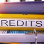 Bank loan: The outstanding progress at the beginning of the year