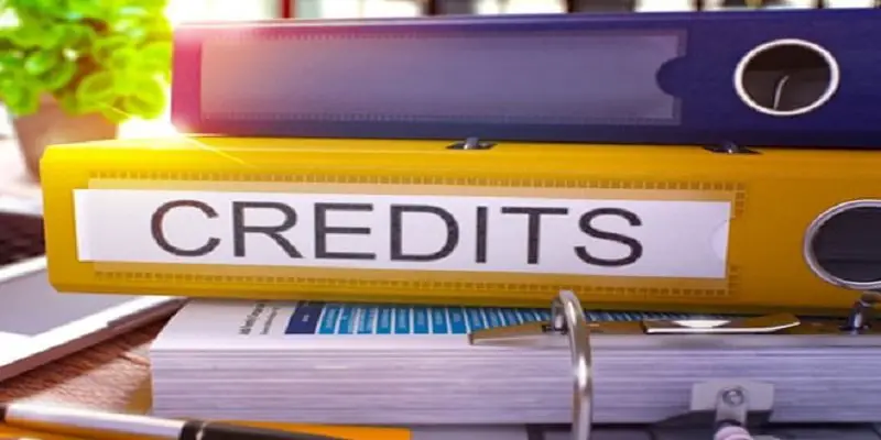 Bank loan: The outstanding progress at the beginning of the year
