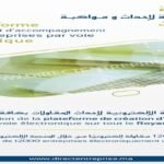 Business creation: Start of the electronic platform