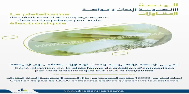 Business creation: Start of the electronic platform