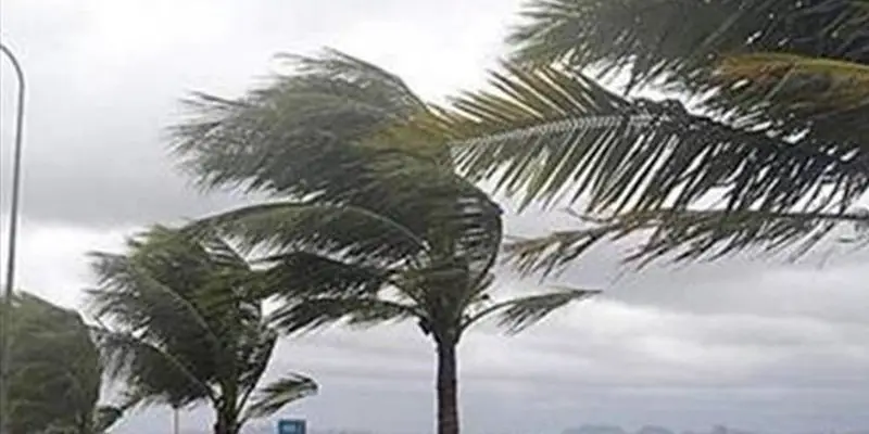 Weather: Strong gusts awaits on Thursday
