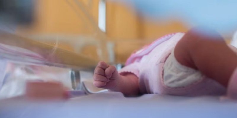 EU: Recording of births in 2023