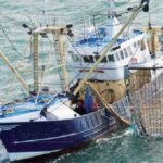 Temporary ban on the Cuttall fishing south of Sidi Ghazi