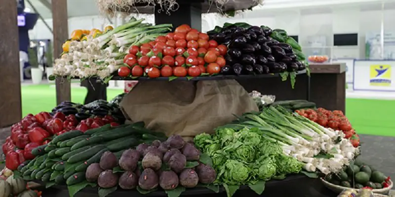 Fruit and vegetables: Morocco consolidates its place as the main supply supplier in Spain