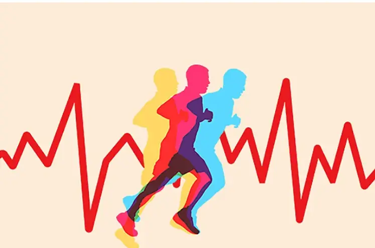 Endurance exercise and durability – Bionicoldguy