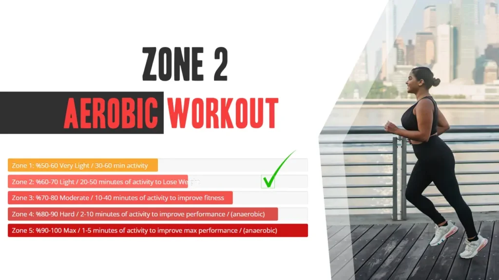 How zone 2 cardio burns and increases the longevity